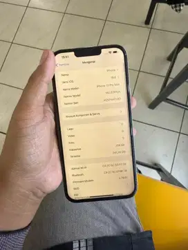 iphone 13 pro max 256 full ori
