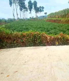 JUAL LAHAN KEBUN MURAH PINGGIR JALAN DI BANJARAN