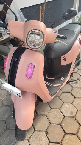 Fazzio pink 2025 second mulus