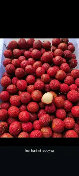 Leci Merah Fresh Manis Kencang Juicy
