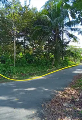 Tanah 1850m jln palagan pakem sleman