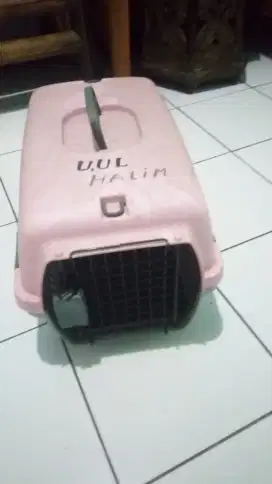 Kandang Kucing Anggora Nominus