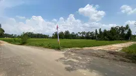 Tanah Kavling Murah