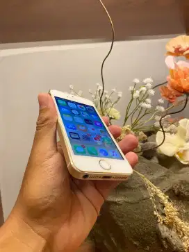 iPhone 5s 32gb all opp