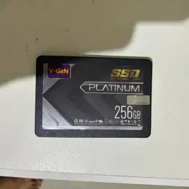 SSD V-Gen Platinum 256GB Copotan