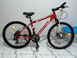 sepedah wincycle
