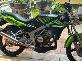 DIJUAL NINJA SS ZEBRA HIJAU, ORI TANGAN PERTAMA NYUSS