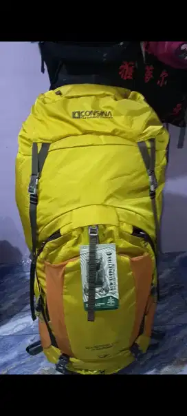 CARRIER CONSINA EVEREST GEN 3 YELLOW COLOR