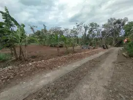 Pekarangan Cocok dibangun kavling perumahan dekat kota Wonosari
