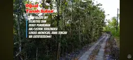 dijual tanah subur, murah