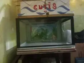 Jual aquarium plus meja