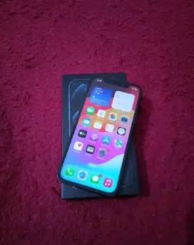 IPhone 12 pro max 128 gb dual sim