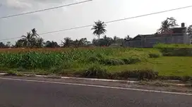 Tanah Bagus Asri Area Gito gati Palagan Dekat SCH
