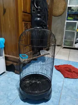 Kandang burung besi