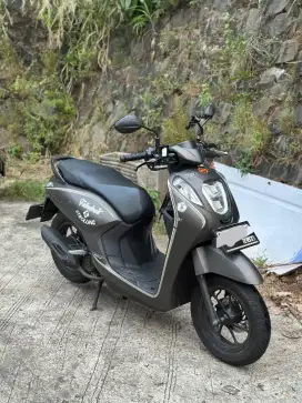 Honda Genio 2023