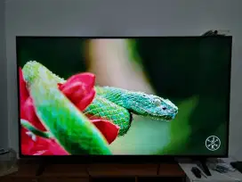 TV LG TV 55nano75tpa