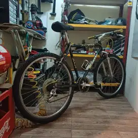 Sepeda vintage 26 bianchi