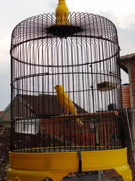 Af rasmi kuning stabilo