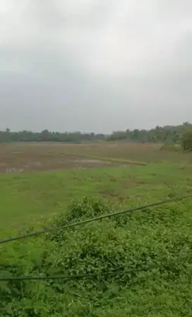 Dijual Tanah 30 Ha Zona Industri di Panongan Kab. Tangerang