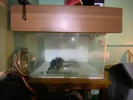 Aquarium Set filterasi