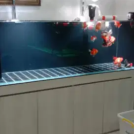 Aquarium custom
