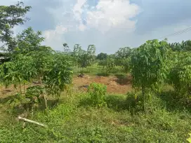 Jual Cepat Murah Tanah 
Karawang Timur