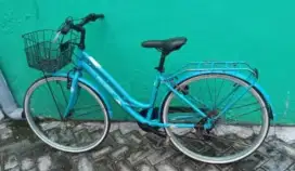 Sepeda CTB polygon sierra