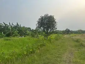 Jual Cepat + Butuh Tanah(EX Penggilingan Padi)Pebayuran,Karawang Barat