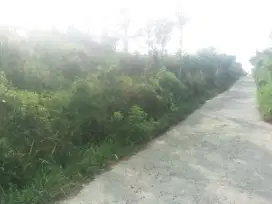 Dijual lahan murah  lg Bu