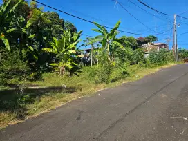 Tanah pinggir jalan raya perbatasan anturan selat