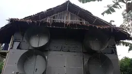 DIJUAL CEPAT TANAH BONUS KANDANG AYAM