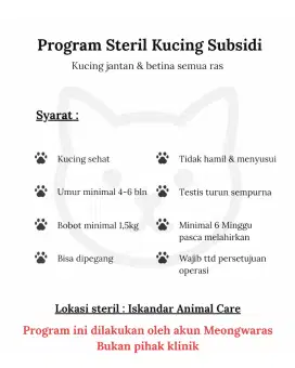 Sterilisasi Kucing Jantan & Betina Bersubsidi