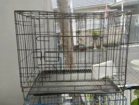 Kandang kucing bekas