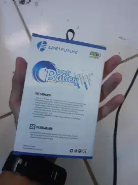 Battery double power vivo