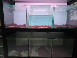 Aquarium masih bagus
