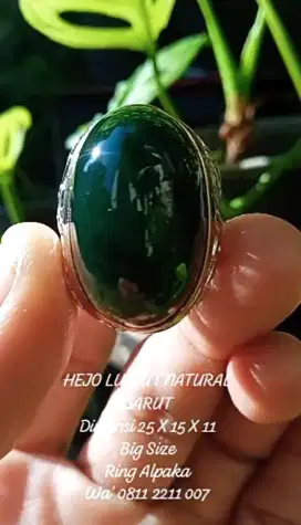 HEJO GARUT NATURAL LAWASAN BIG SIZE