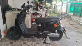 Es8pro speed wana biru majesty
