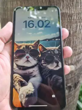 Iphone 11 Pro Max 64GB Inter