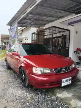All new corolla 1998