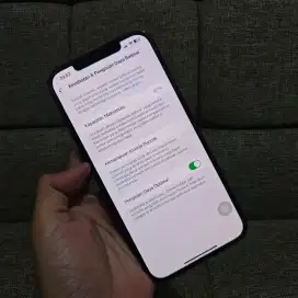 Iphone 12 Pro Max 256GB Fungsi Normal