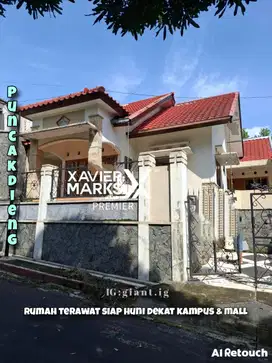 Rumah Cantik dekat kampus UB kedokteran Hewan di Puncak Dieng Malang