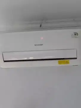 Ac Sharp 1/2 PK