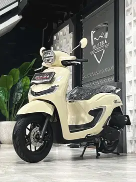 STYLO 160 th 2024