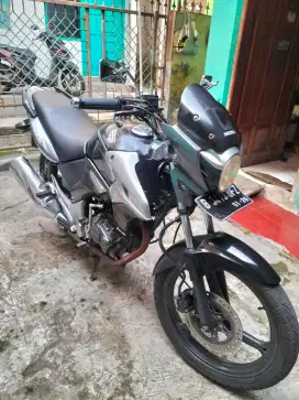 Tiger Revo th 08 PJK idup