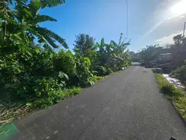Tanah jantuk Angsa Pererenan Canggu Badung