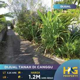 DIJUAL TANAH DI CANGGU