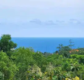 Tanah Premium dan strategis Ocean View Tunjung Ungasan