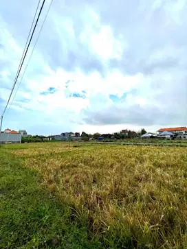 Tanah View Sawah Kedampang Kerobokan Badung