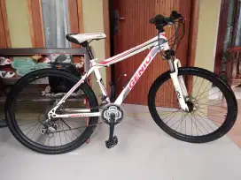 Mtb Genio dlitz ban 26