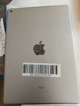 iPad gen 5th Wifi only